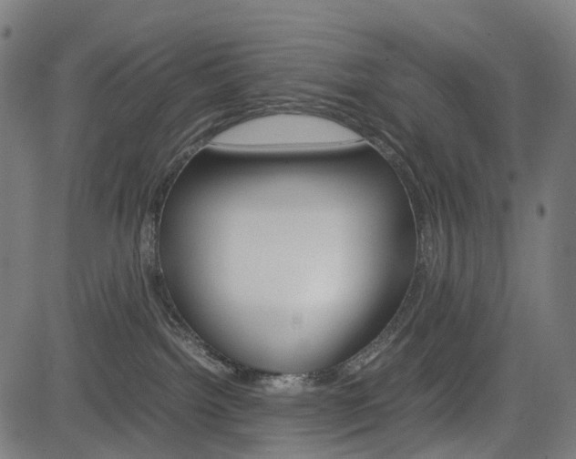 X0000085230092200703090908
