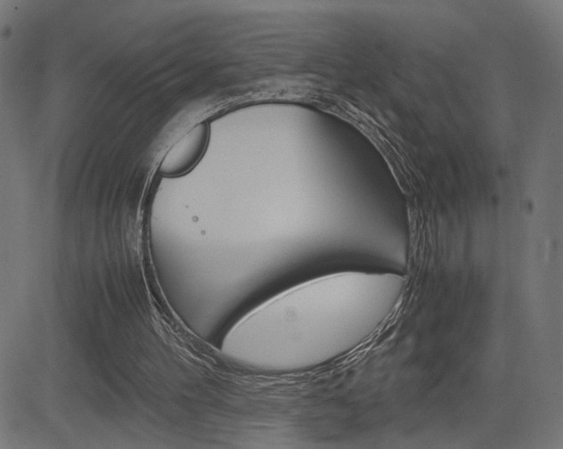X0000085230100200703090907