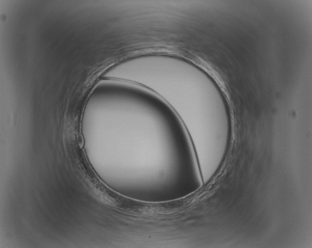 X0000085230105200703090907