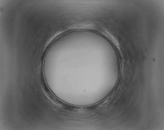 X0000085230107200703090907