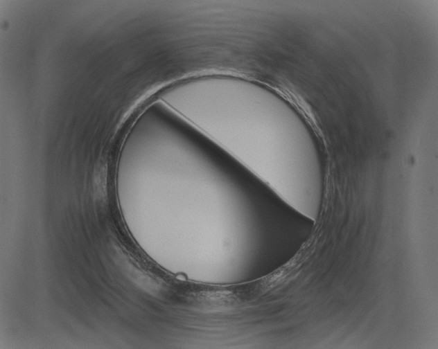 X0000085230108200703090907