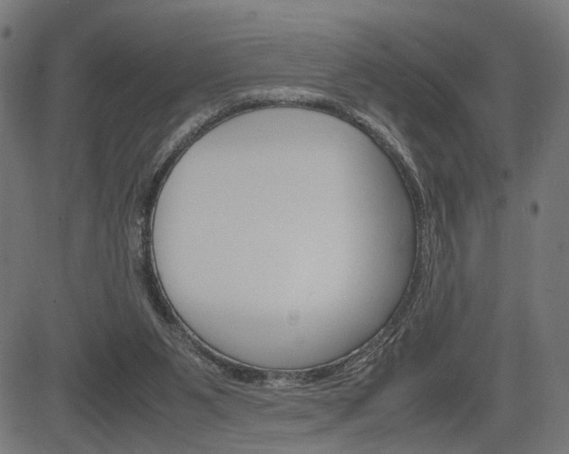 X0000085230111200703090907