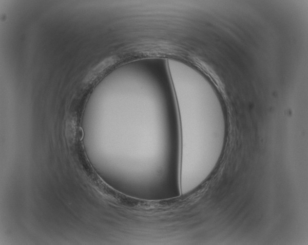 X0000085230113200703090907