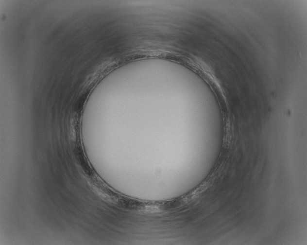 X0000085230114200703090907