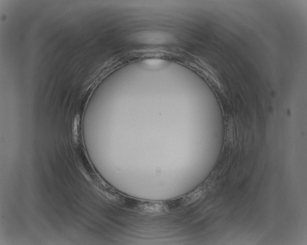 X0000085230118200703090906