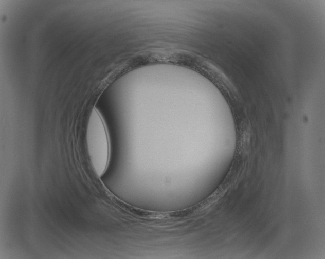 X0000085230121200703090906