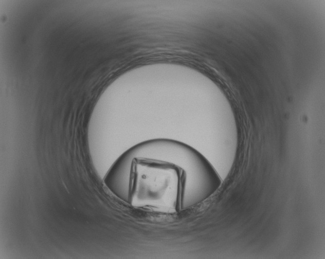 X0000085230125200703090906