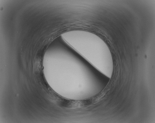 X0000085230127200703090906