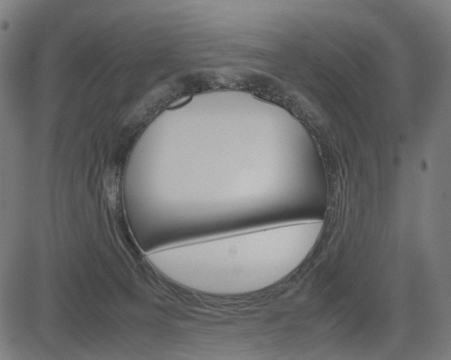 X0000085230129200703090906