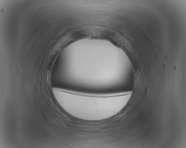 X0000085230141200703090906