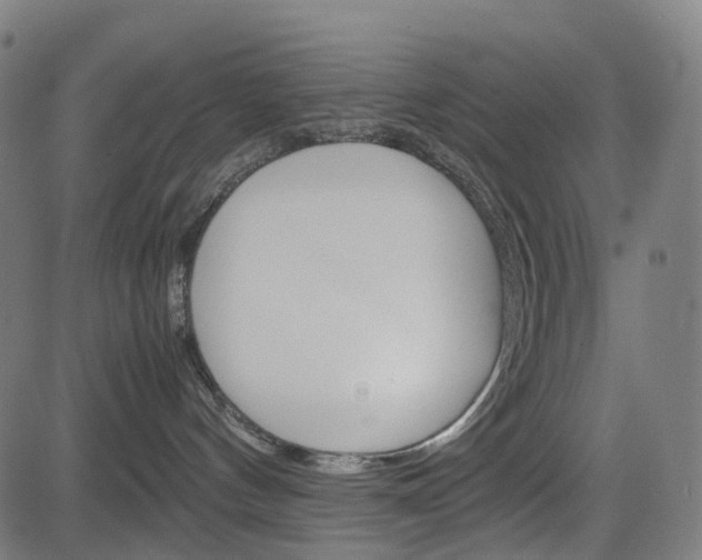X0000085230144200703090906