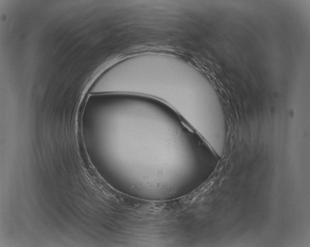 X0000085230148200703090905
