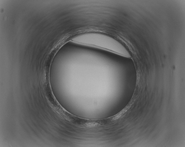X0000085230158200703090905