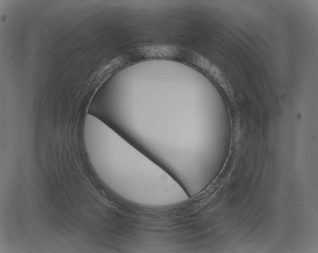 X0000085230161200703090905