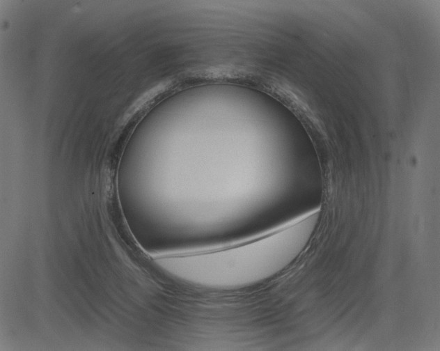 X0000085230164200703090906