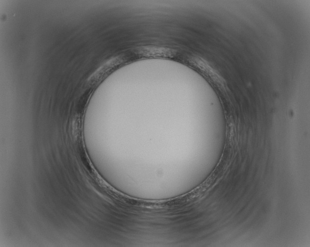 X0000085230165200703090906