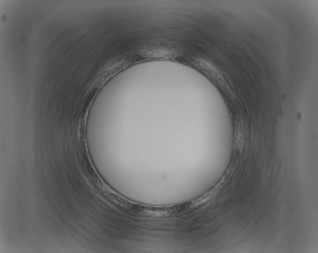 X0000085230167200703090906