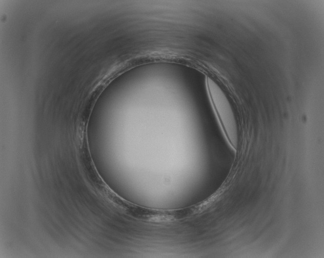 X0000085230168200703090906