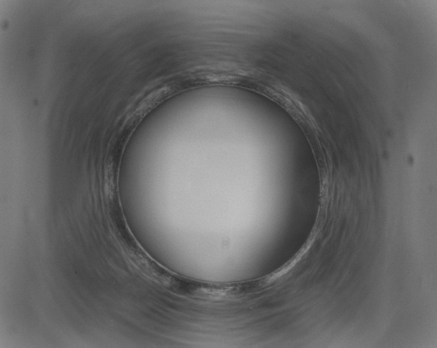 X0000085230170200703090906