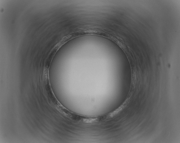 X0000085230172200703090906