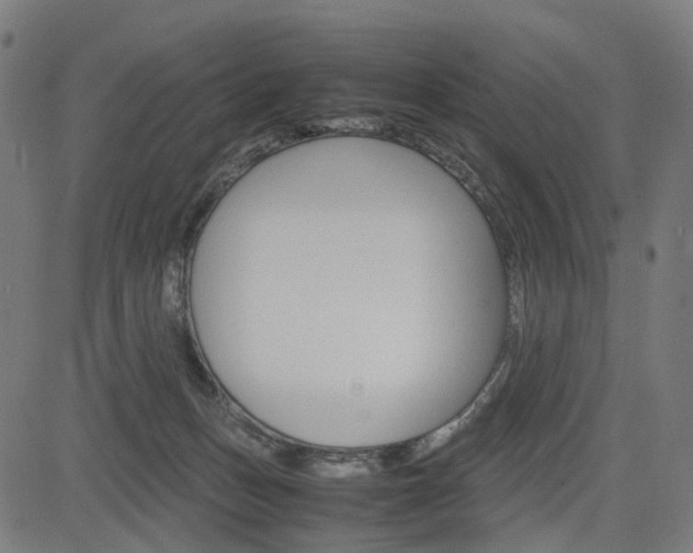 X0000085230175200703090906