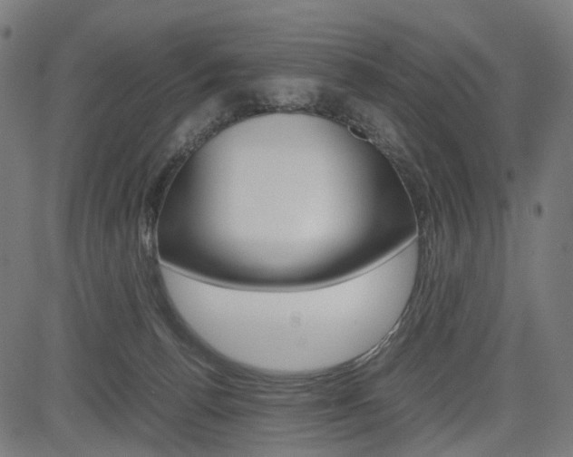 X0000085230176200703090906