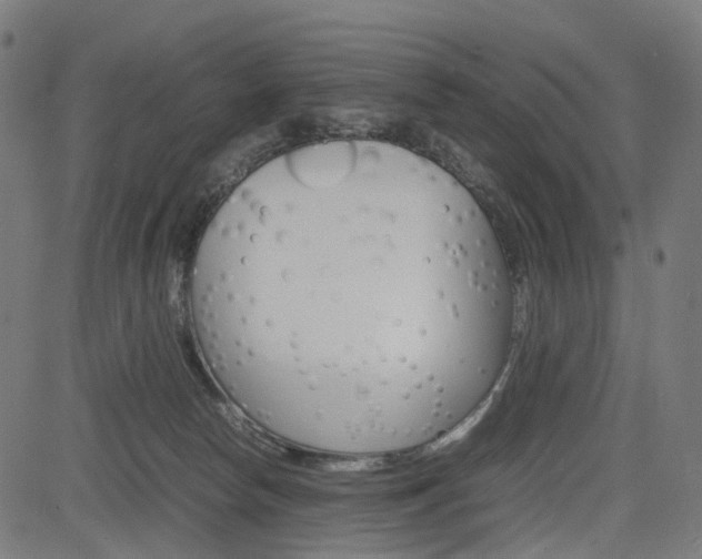 X0000085230178200703090906