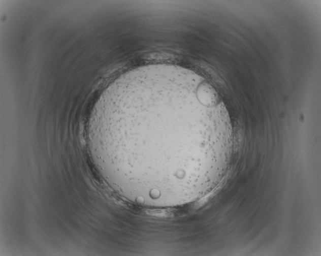 X0000085230187200703090906