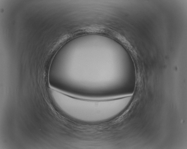 X0000085230201200703090905