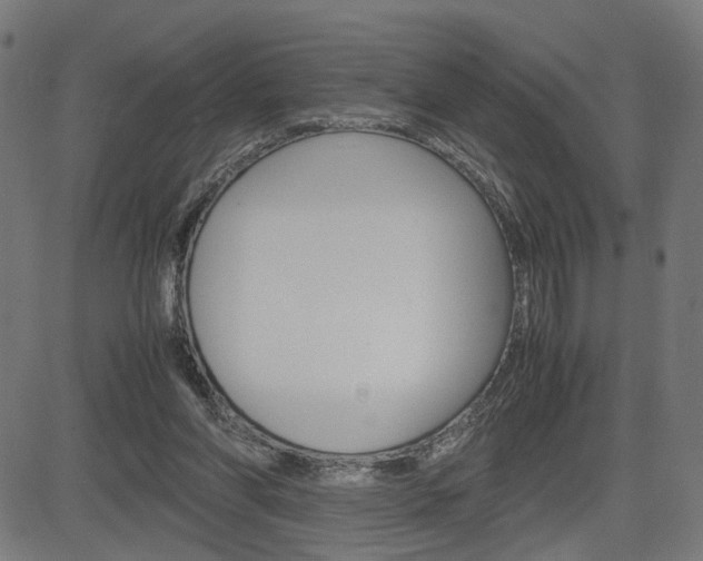 X0000085230206200703090905