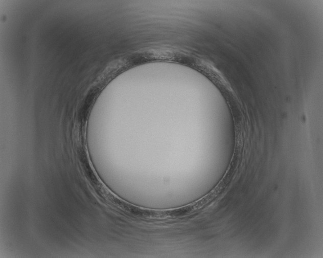 X0000085230213200703090905