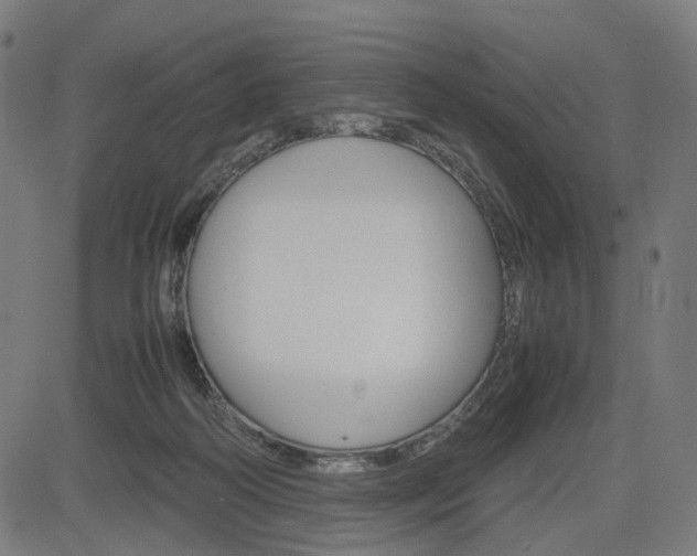X0000085230218200703090905