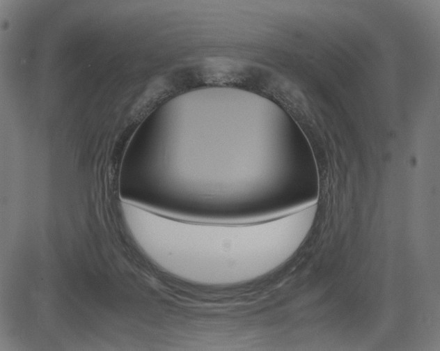 X0000085230219200703090905