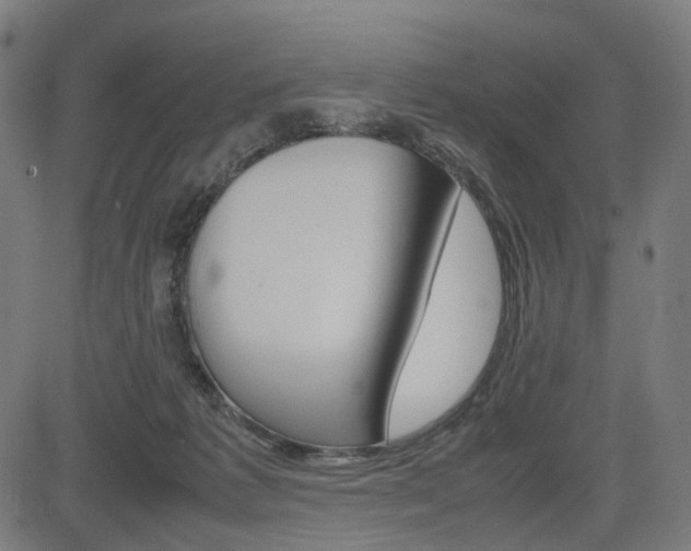 X0000085230221200703090905