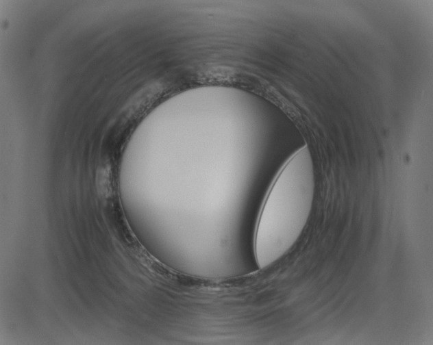 X0000085230224200703090905