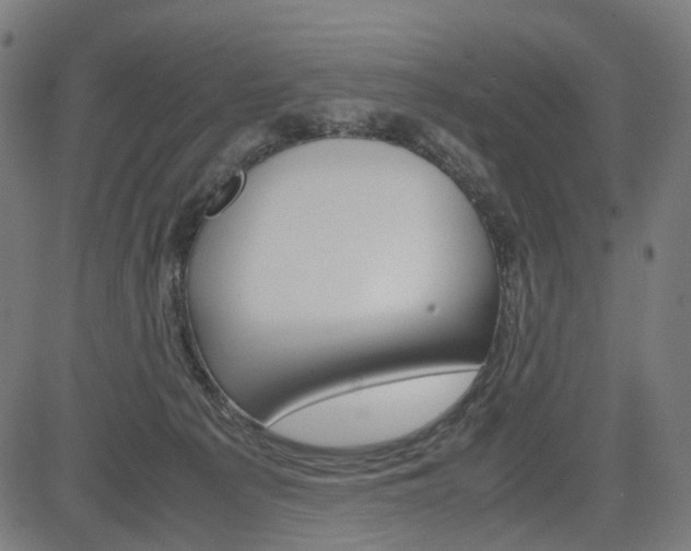 X0000085230225200703090905