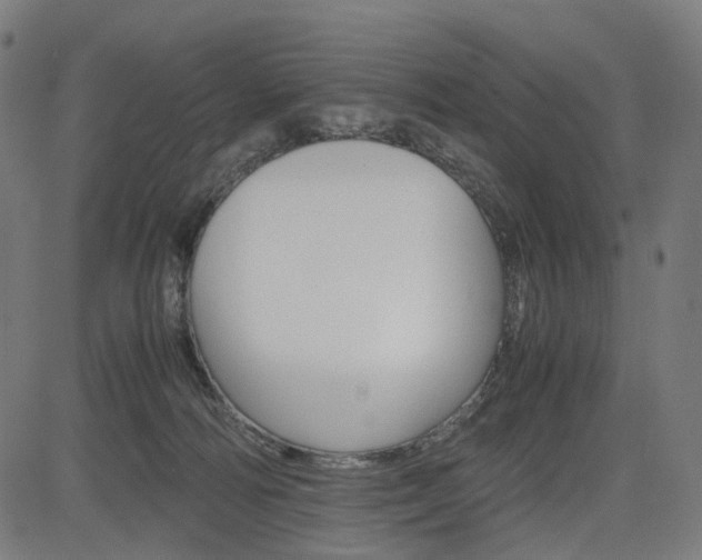 X0000085230226200703090905