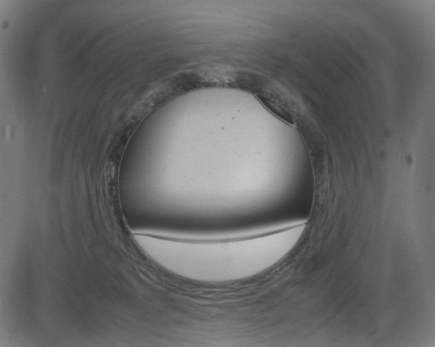 X0000085230229200703090905