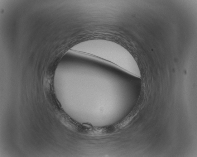 X0000085230235200703090905