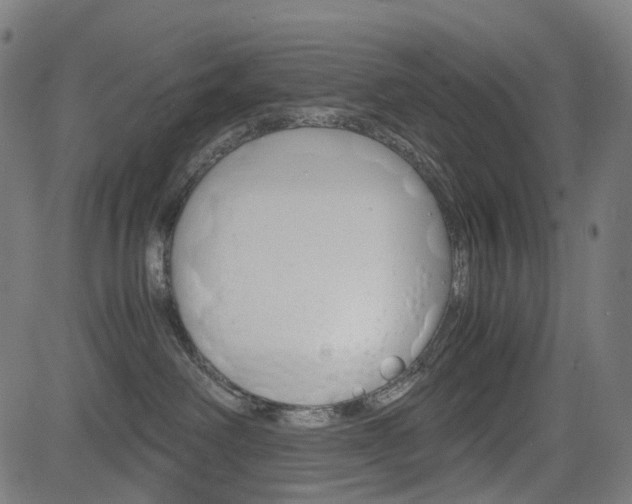 X0000085230238200703090904