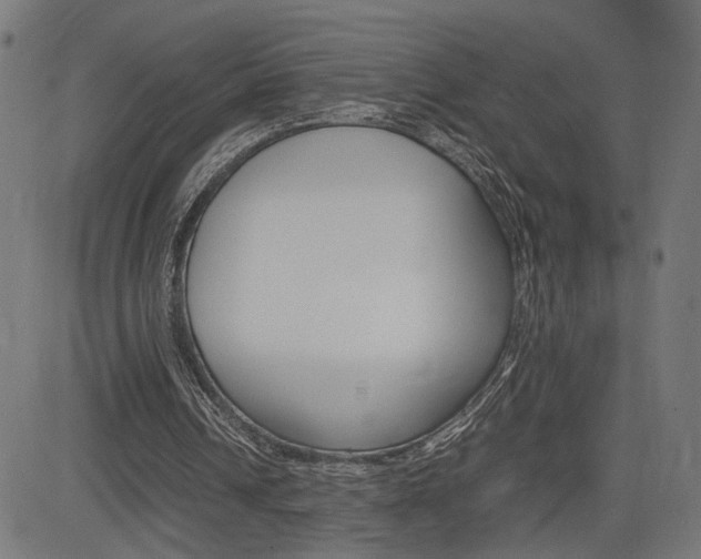 X0000085230242200703090904