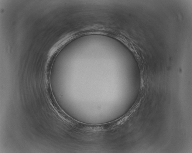 X0000085230245200703090904