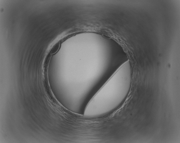 X0000085230246200703090904