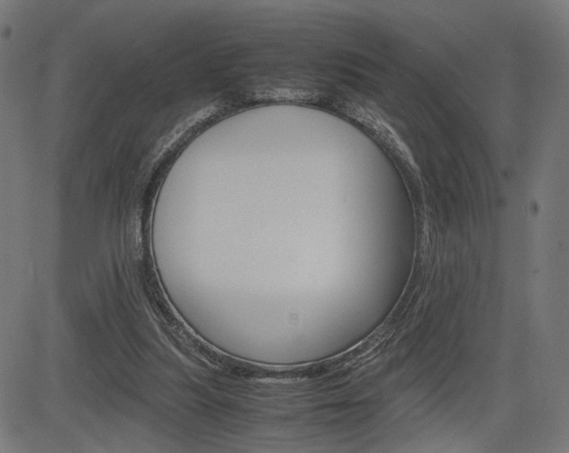 X0000085230251200703090904