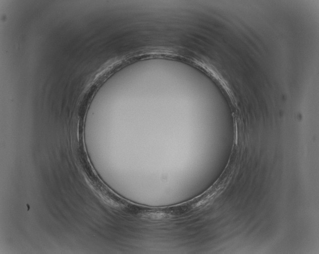 X0000085230253200703090904