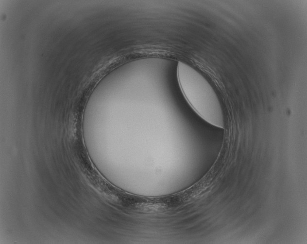 X0000085230255200703090904