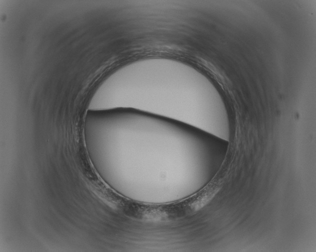 X0000085230258200703090904