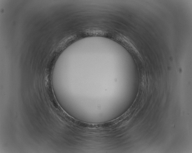 X0000085230259200703090904