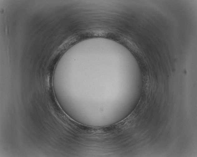 X0000085230262200703090904