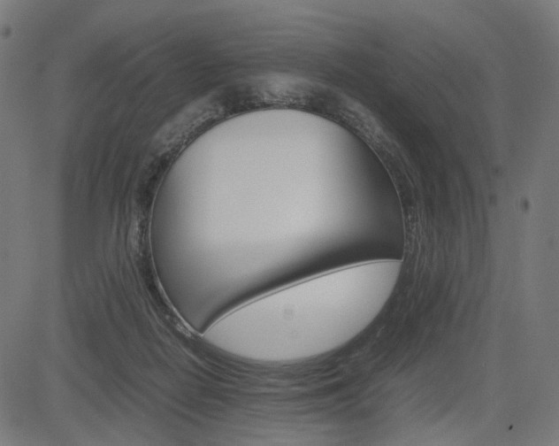 X0000085230266200703090904